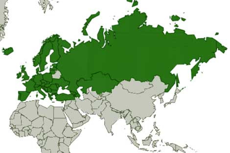 Зялёным пазначаныя краіны Балонскага працэсу